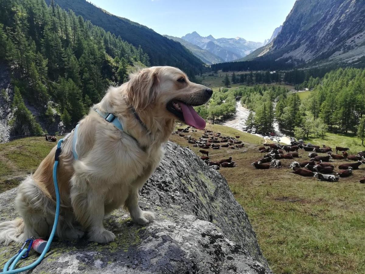 Casa Lucy Daire Aosta Dış mekan fotoğraf